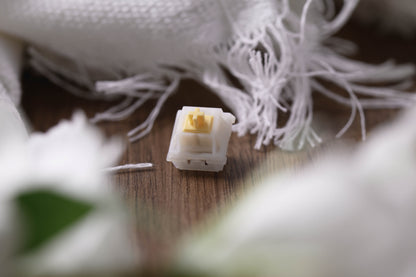 Dino Little Ghost Switches