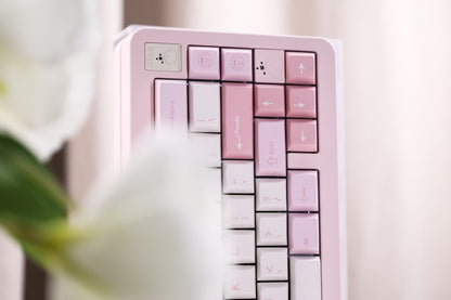 PinkPoodle PBT Cherry Profile 5 Side Sublimation Keycaps Set 177 Keys