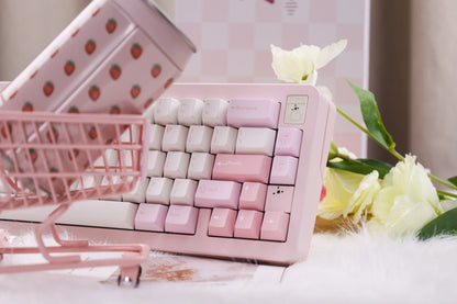 PinkPoodle PBT Cherry Profile 5 Side Sublimation Keycaps Set 177 Keys